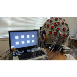 脳・生体信号の情報処理